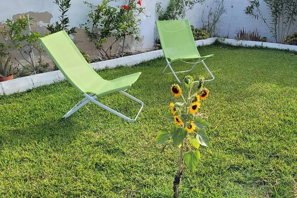 Vila Casa Con Piscina Privada Y Jardin Chiclana de la Frontera Španělsko